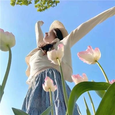 林中漫步
