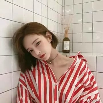 明月守护者